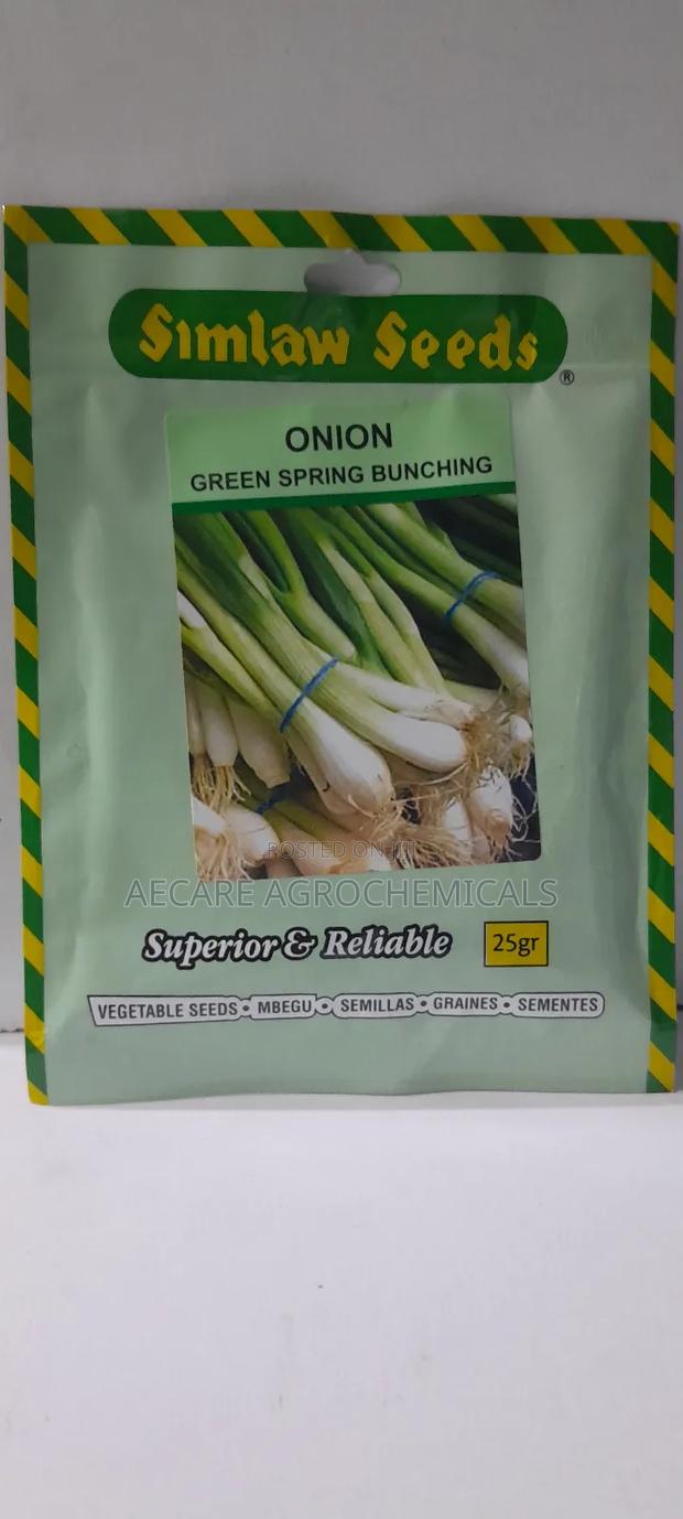 Green Spring Bunching Onion 10g, 25g Seeds - thumbnail 5