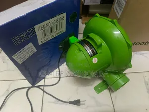 Premier 300 Watts Blower