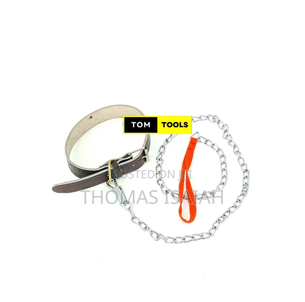 Genuine Leather Collar and 1.2m Chain Leash