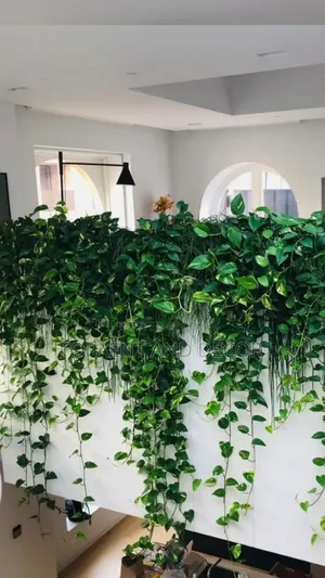 Home Wall Decoration With Hanging Leaves