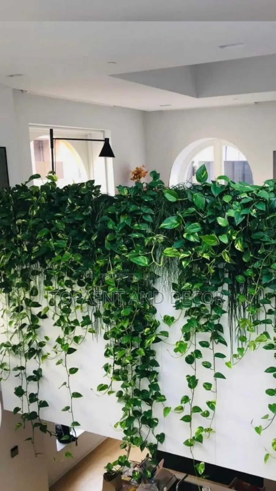 Home Wall Decoration With Hanging Leaves