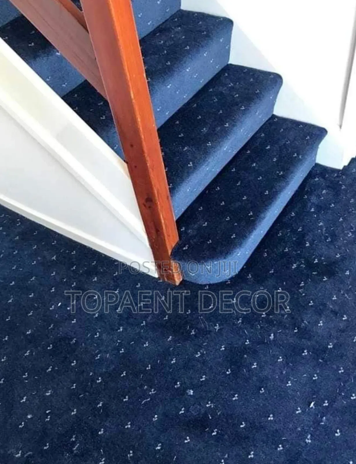 Presidential Executive Homes and Offices Wall to Wall Carpet