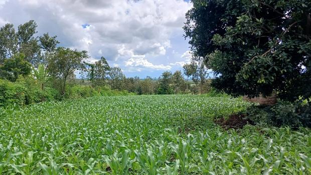 Sabasaba 3 Acres on Sale - main view