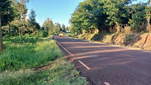 Sabasaba 3 Acres on Sale - thumbnail 3