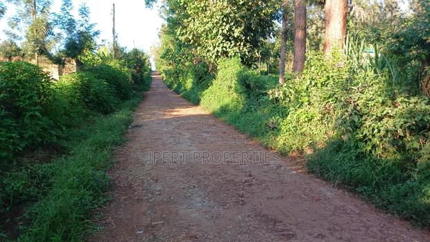 Sabasaba 3 Acres on Sale - thumbnail 4