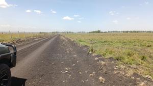 Affordable Plots for Sale - thumbnail 2