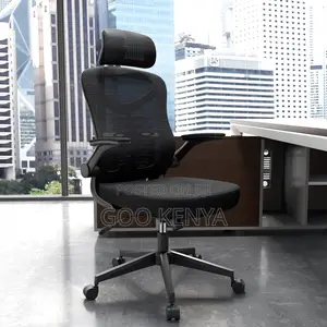 Office Chair ; Orthopedic Ergonomic Office Seat