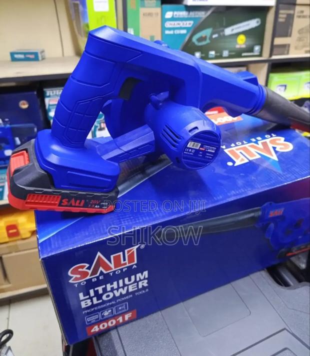 Sali Leaf Blower 20v - main view