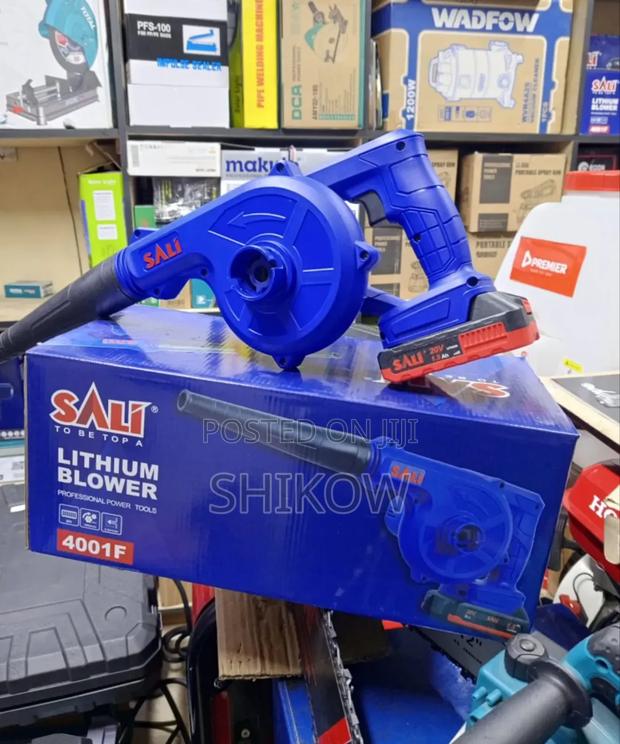 Sali Leaf Blower 20v With Lithium Batteries - main view