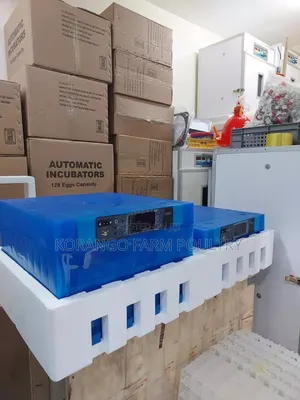 Solar Eggs Incubator