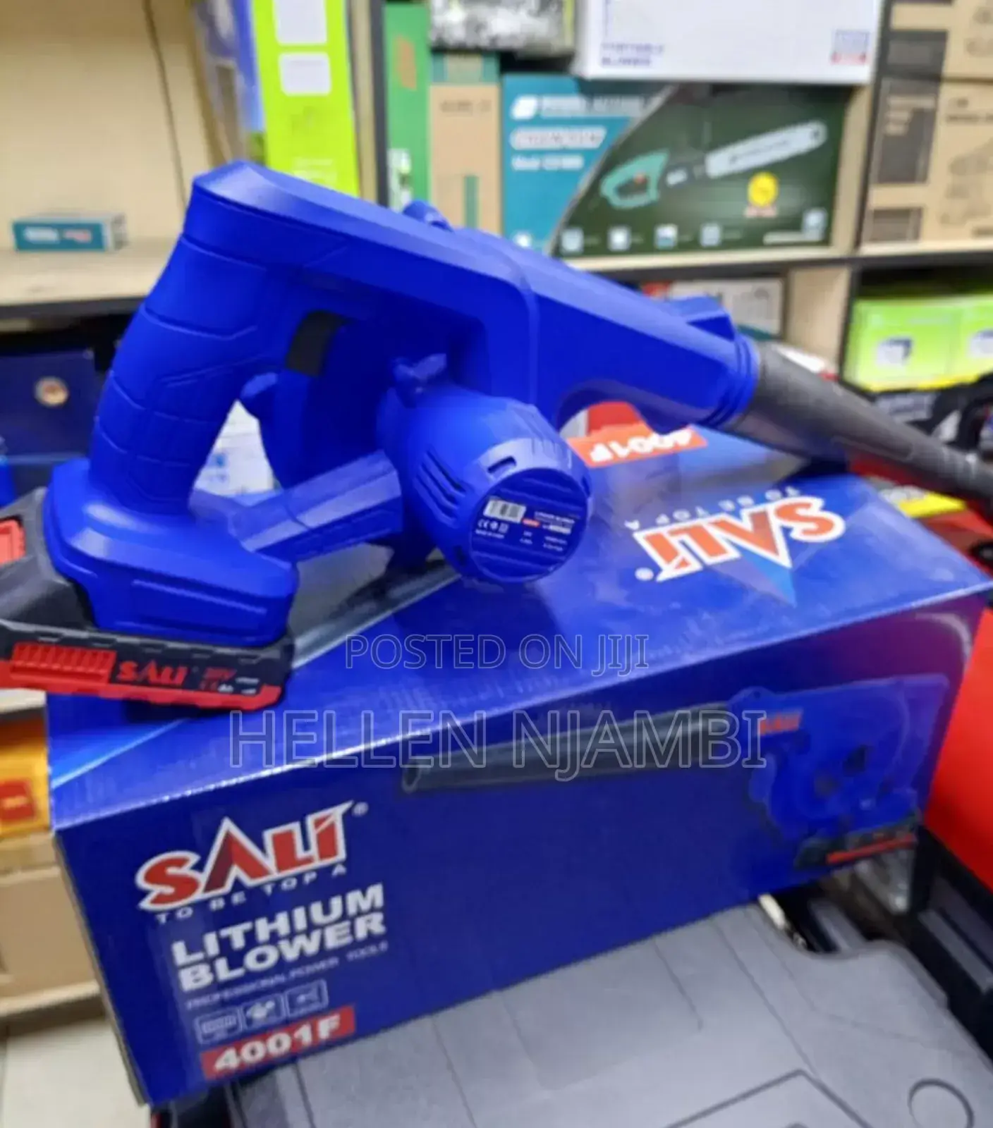 Sali Cordless Leaf Blower
