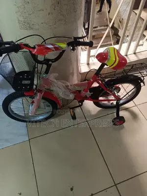 Premeir Bike Size 16