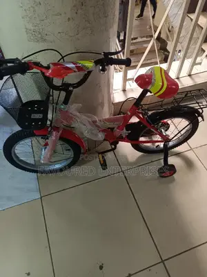 Premeir Bike Size 16