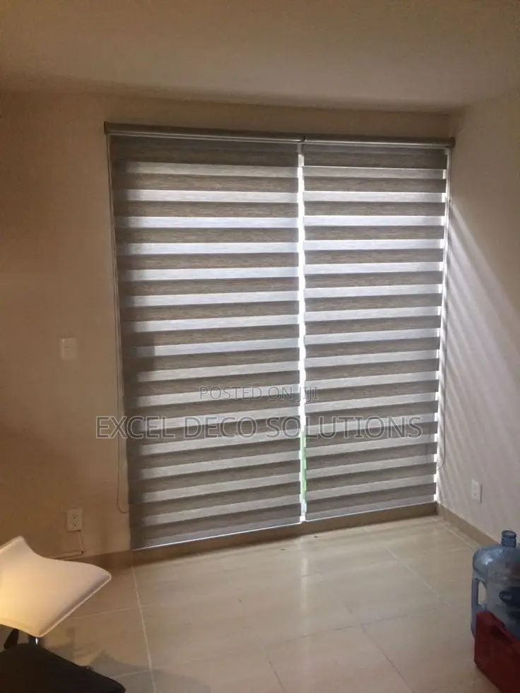 “The Blind That Does It All!” Zebra Window Blinds