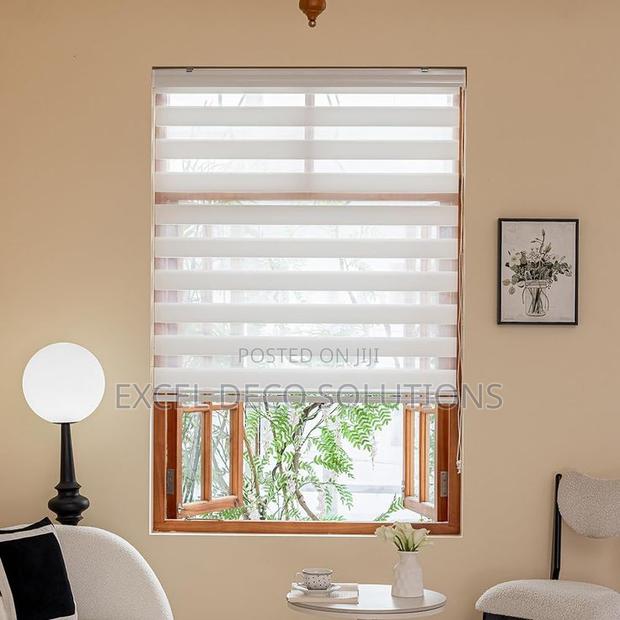 “Soft Light, Strong Design!”With Zebra Window Blinds