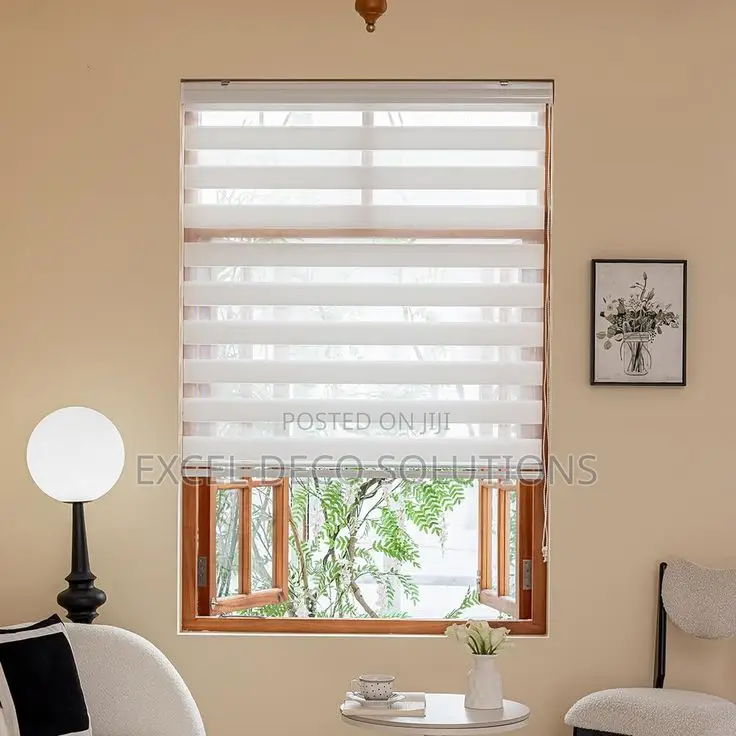 “Soft Light, Strong Design!”With Zebra Window Blinds