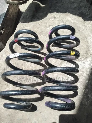 Mazda Premacy Rear Coil Springs