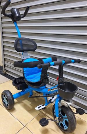 Push Handle Tricycle - main view