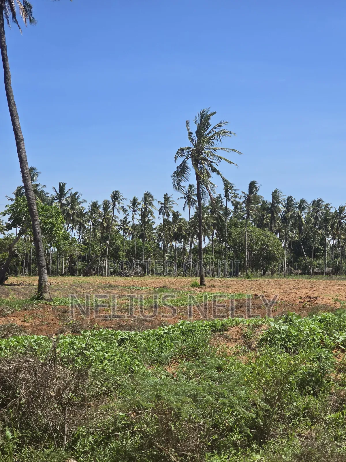 1acre Land for Sale Kilifi Tezo