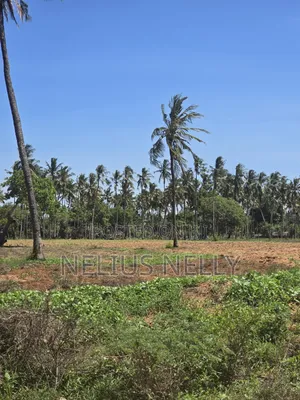 1acre Land for Sale Kilifi Tezo