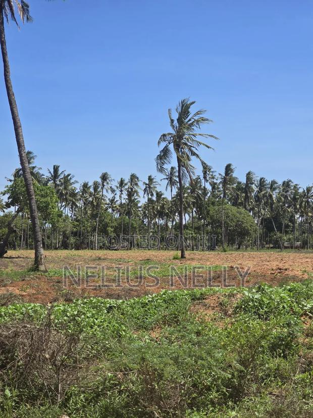 1acre Land for Sale Kilifi Tezo - thumbnail 2