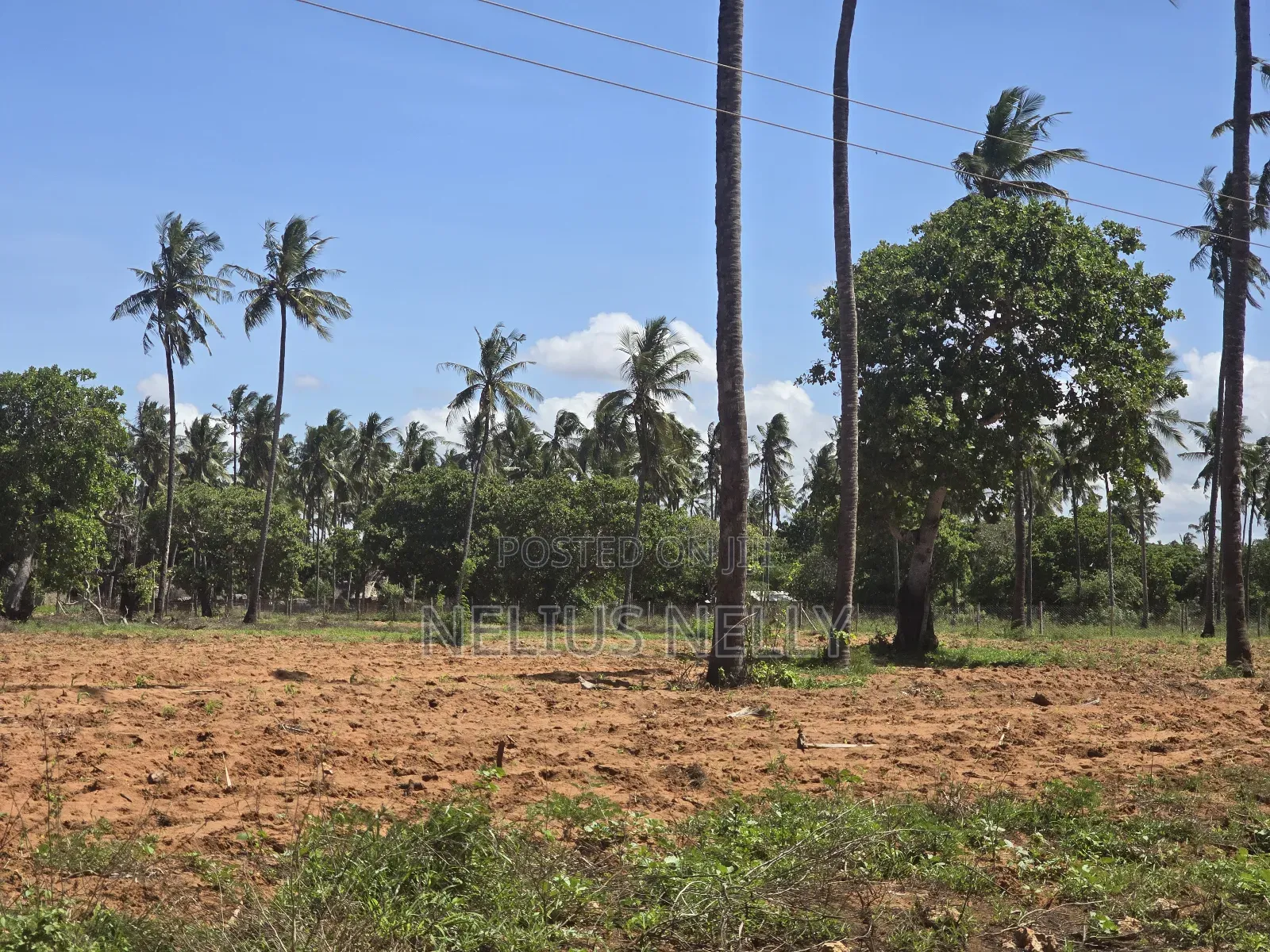 1acre Land for Sale Kilifi Tezo