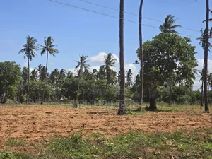 1acre Land for Sale Kilifi Tezo