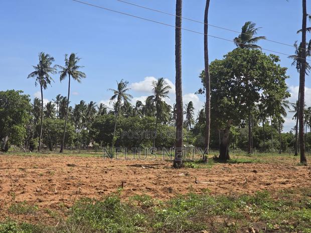 1acre Land for Sale Kilifi Tezo - thumbnail 5