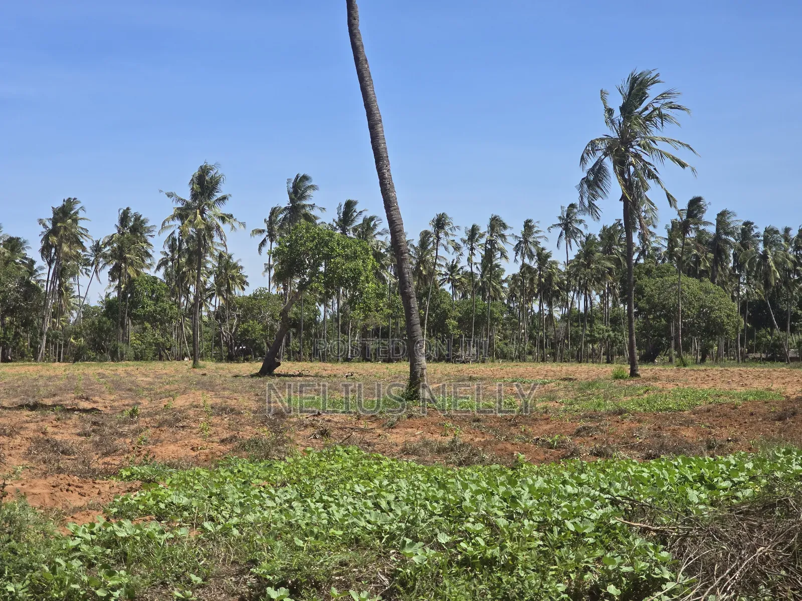 1acre Land for Sale Kilifi Tezo