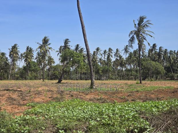 1acre Land for Sale Kilifi Tezo - thumbnail 6