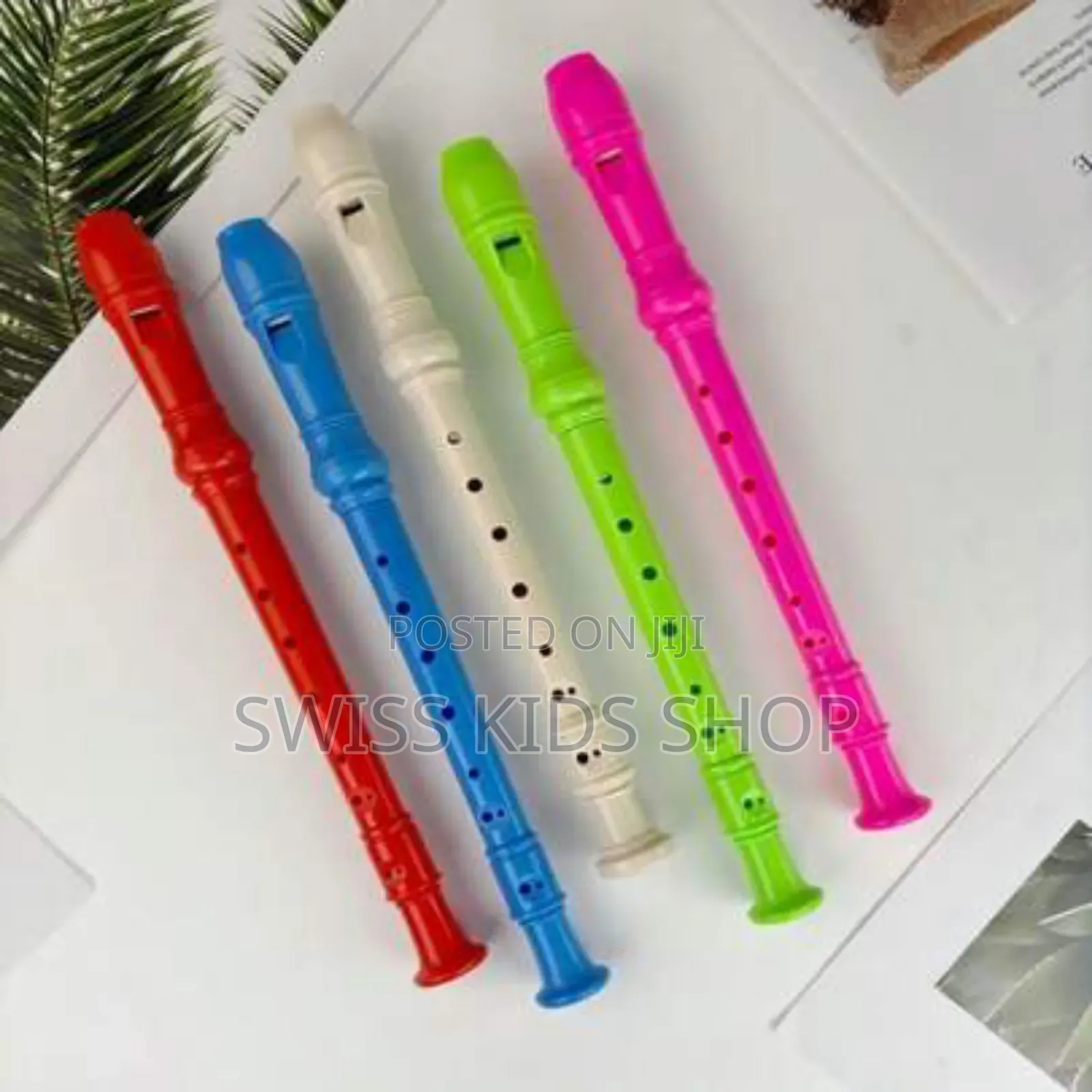 Dessicant Recorder / Flute