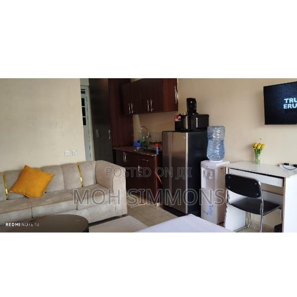 Studio BNB in Ruaka (Blooming Airbnbs) - thumbnail 4