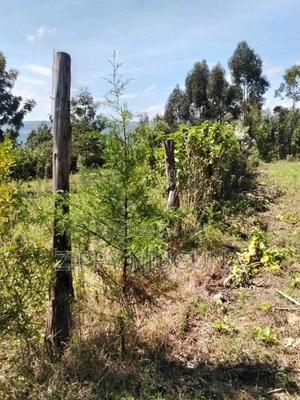 50 By 100 Plot In Langa Langa. Gilgil. - thumbnail 2