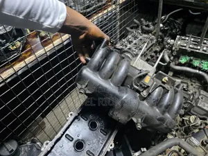 1g Manifold Mark 2