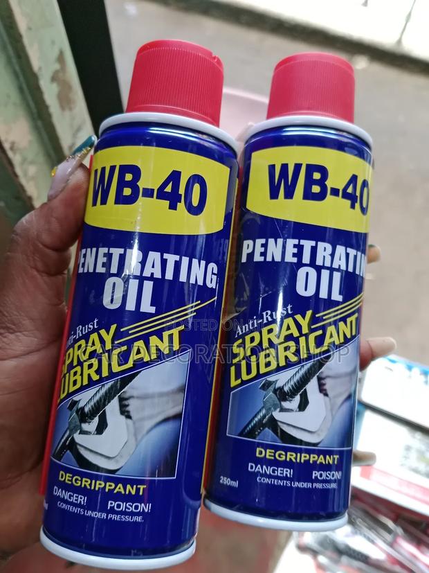 2pcs Wb-40 Spray Lubricant 250ml Each