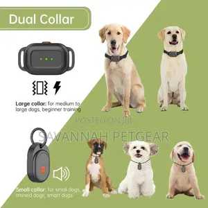 F600 in-Ground Wire Dog Training Fence System Dual Collar