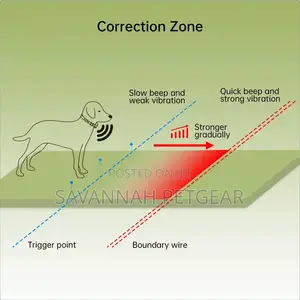 F600 in-Ground Wire Dog Training Fence System Dual Collar