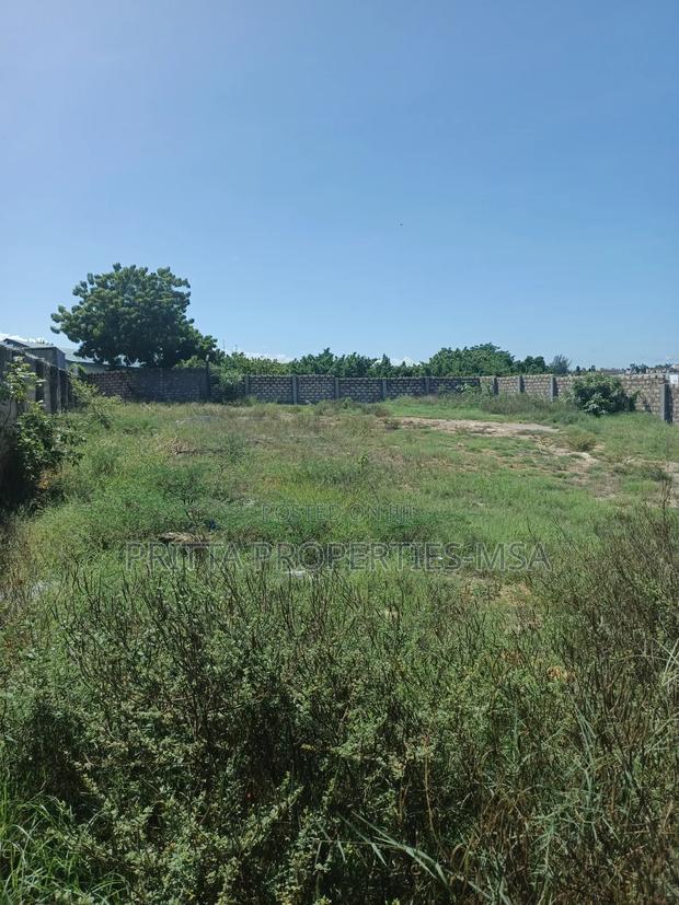 Nyali Prime Plot for Sale:1/4 Acre With Clean Papers - thumbnail 3