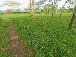 Land for Sale in Pema Estate One Acre