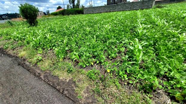 Eighth Plot for Sale at Kamura Area. - main view