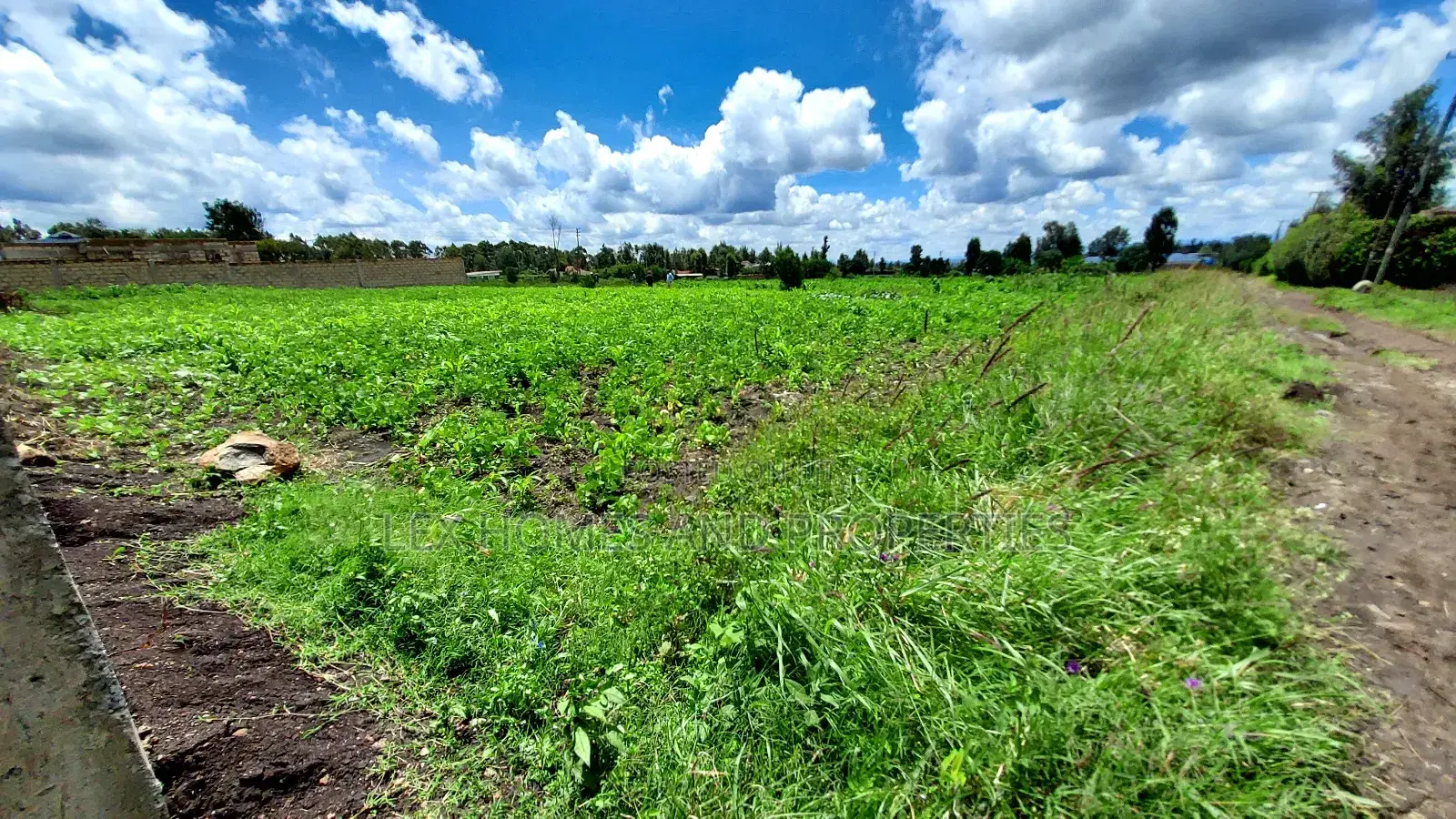 Eighth Plot for Sale at Kamura Area.
