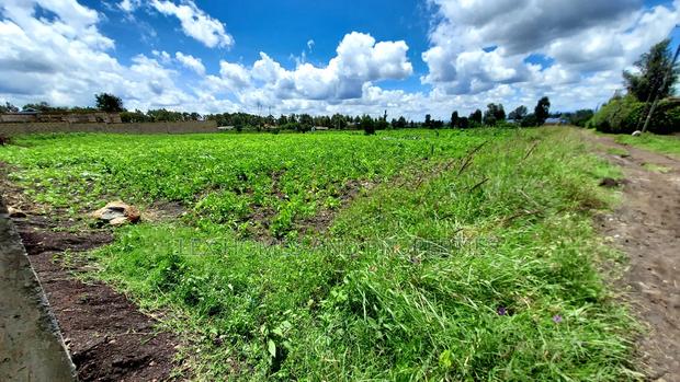 Eighth Plot for Sale at Kamura Area. - thumbnail 4