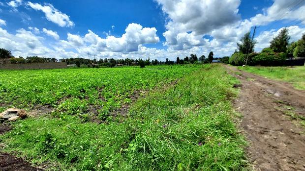 Eighth Plot for Sale at Kamura Area. - thumbnail 5