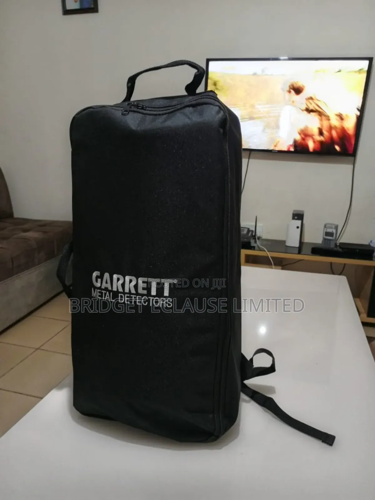 Garrett Axiom Gold Detector