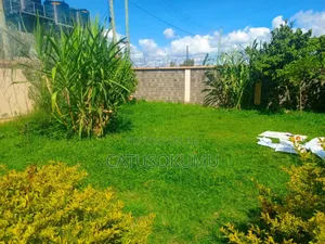 4bdrm Maisonette in Syokimau for rent