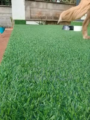 Backyard Artificial Grass Carpet - main view