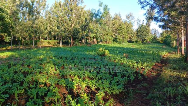 Red Soil Land on Sale - thumbnail 2