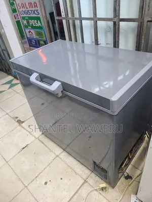 Silver Deep Freezer/Chest One