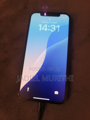 Apple iPhone 12 Pro 256 GB Gray