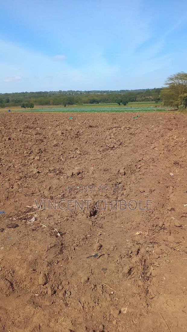 Land for Lease - main view